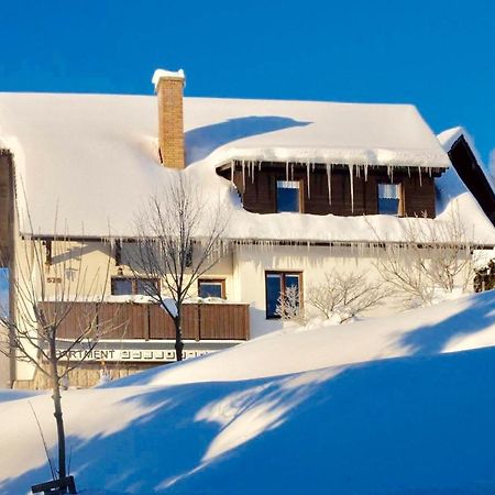 Apartments In Harrachov/Riesengebirge 2300 Экстерьер фото
